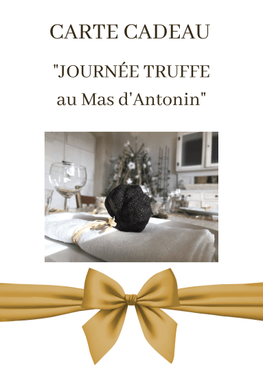 Cadeau noel, fete des meres, fetes des peres, cadeau anniversaire