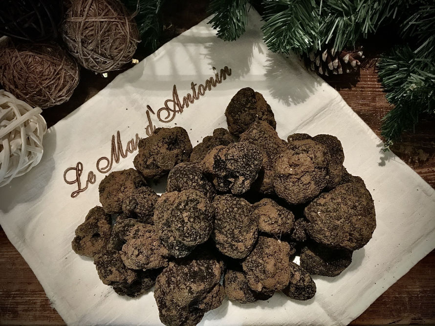 Truffes du Mas d'Antonin